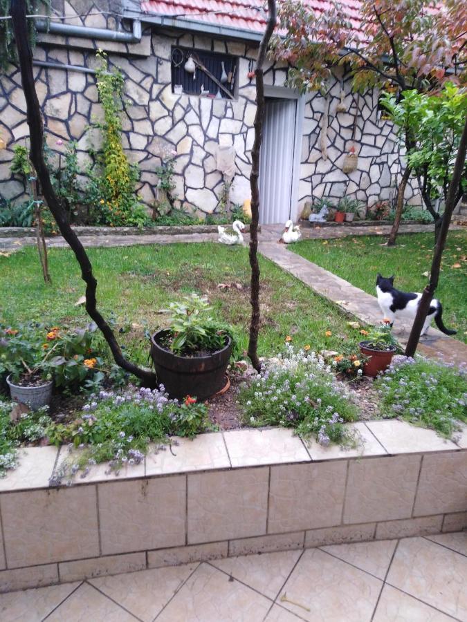Appartamento Janina Hisa Stolac Esterno foto